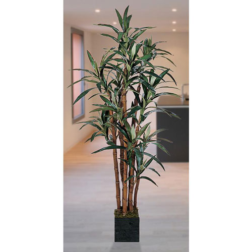 Picture of C. Alan 5006 5&apos; Tall Yucca Silk Tree 5
