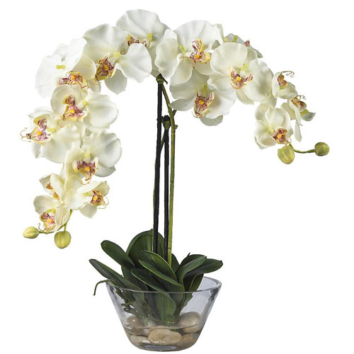 4643-WH Phalaenopsis with Glass Vase -  Nearly Natural