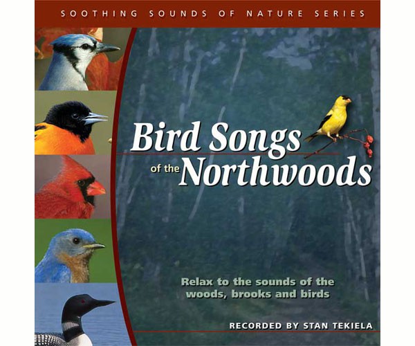 Picture of Adventure Publications Inc. AP31195 Birdsongs of Northwoods