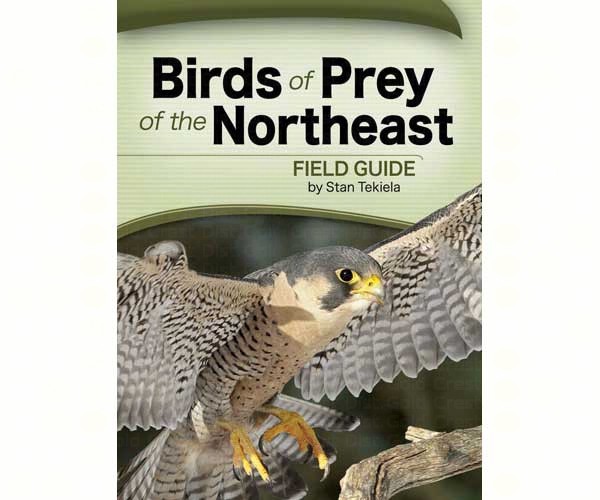 Picture of Adventure Publications Inc. AP33168 Birds of Prey of the Northeast