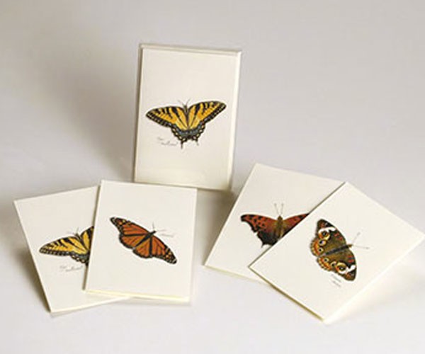 Butterfly Notecard Assortment (2 each of 4 styles)