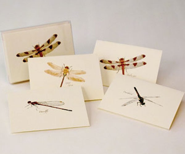 Dragonfly & Damselfly Notecard Assortment (2 each of 4 styles)