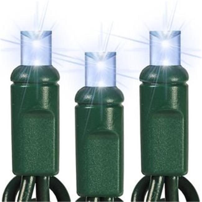 Queens of Christmas S-70MMPW-3G5ST S-70MMPW-3G5ST - 70 Count Standard Grade S...