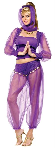 Picture of Morris Costumes FW121764SD Dreamy Genie Adult Sm Med 2-8