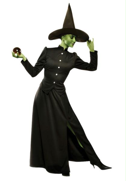 Picture of Morris Costumes AA86001XL Classic Witch Adult X Large