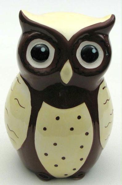 Picture of International Wholesale Gifts 049-22134 Ceramic Owl Bank