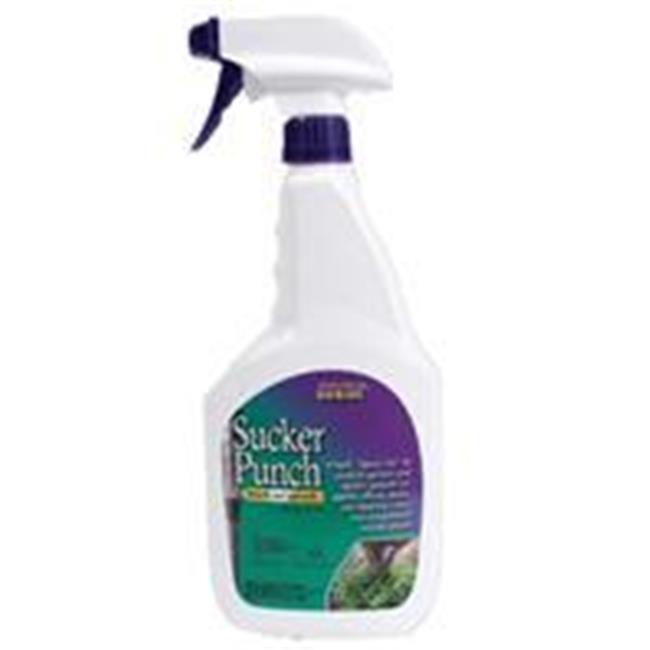 Bonide Products Inc P-Sucker Punch Ready To Use 16 Ounce 2761