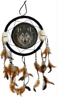 Picture of Azure Green RD406 Wolf Dream Catcher