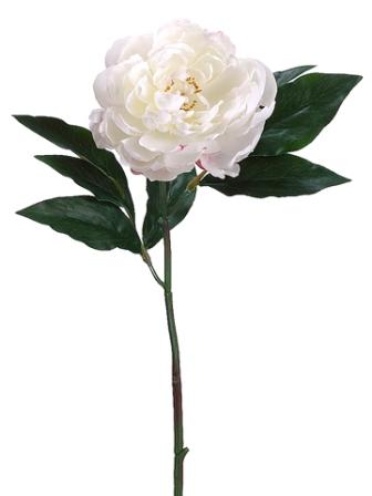 Picture of Allstate Floral FSP801-CR-BT 18.5 in. Peony Spray Cream Beauty - Case of 12