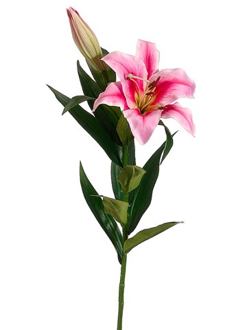 Picture of Allstate Floral FSL122-RB 35 in. Stargazer Lily Spray Rubrum - Case of 12