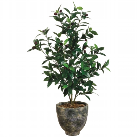 Picture of Allstate Floral WP7526-GR-TT 3 ft. Olive Tree in Pot Two Tone Green