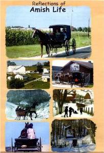 Picture of E.I.V.. Book  and  VideoEducation 2000 Inc.  Reflection of Amish Life - This Video includes infomative narration on additional topics of interest such as child rearing Courtship religious holidays
