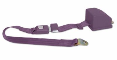 Picture of safeTboy STBSB2RSPL 2pt Plum Retractable Standard buckle - Each