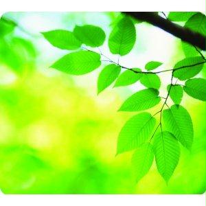 Picture of 5903801 Fellowes&#44; Inc. Recycled Optical Mousepad - Leaves&#44;Dds Must Be Ordered In Multiples Of Case Qty=