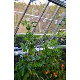 Picture of Palram - Canopia HG1024 Trellising Kit Pro for all Palram - Canopia Greenhouses