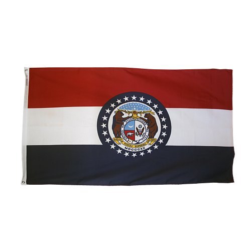 4 ft. X 6 ft. Nyl-Glo Argentina Government Flag