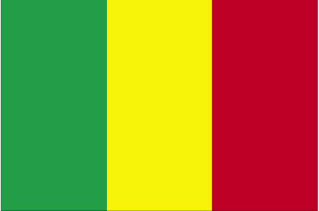 4 ft. X 6 ft. Nyl-Glo Mali Flag