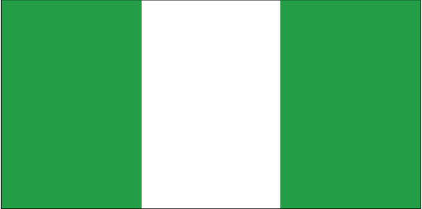 Picture of Annin Flagmakers 196381 5 ft. X 8 ft. Nyl-Glo Nigeria Flag