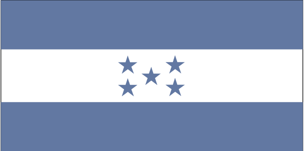 Picture of Annin Flagmakers 193435 5 ft. X 8 ft. Nyl-Glo Honduras Flag