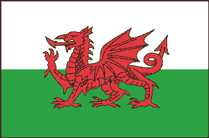 2 ft. X 3 ft. Nyl-Glo Wales Flag