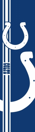 Picture of Indianapolis  Colts Door Banner