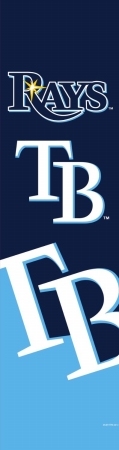 Tampa Bay Rays Door Banner