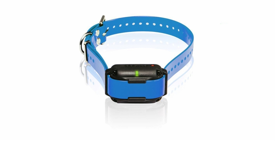 Picture of Dogtra EdgeRT-RX-Blu Extra Collar/Receiver for Edge RT - Blue