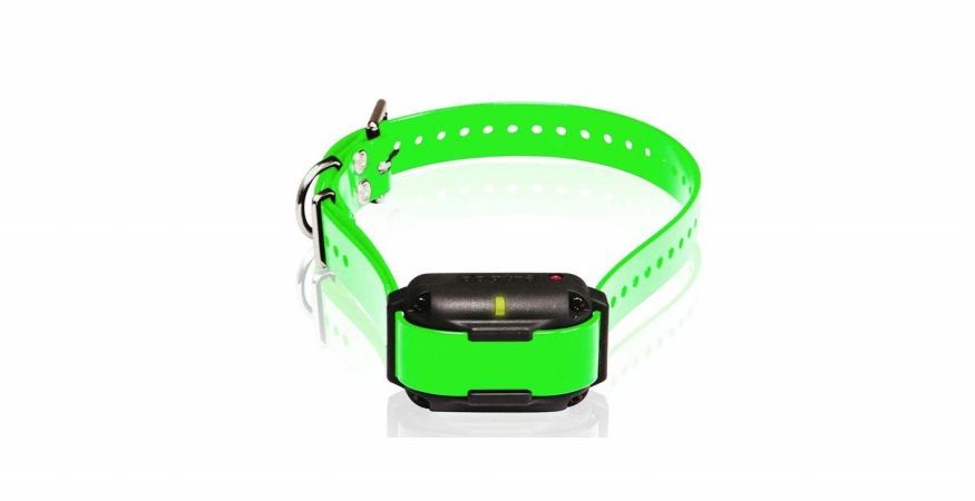 Picture of Dogtra EdgeRT-RX-Grn Extra Collar/Receiver for Edge RT - Green