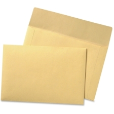 Flat Filing Envelopes