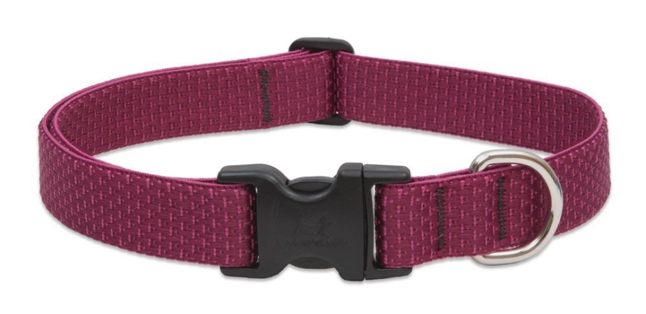 Picture of Lupine 1&apos;&apos; Berry 12&apos;&apos;-20&apos;&apos; Adj. Collar