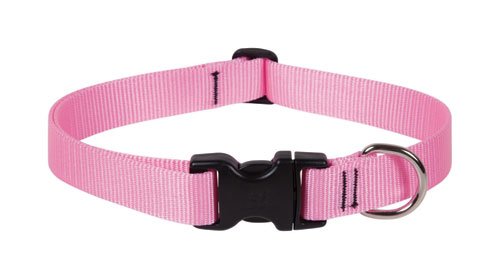 Picture of Lupine 1&apos;&apos; Pink 12&apos;&apos;-20&apos;&apos; Adj. Collar