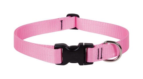 Picture of Lupine 1&apos;&apos; Pink 16&apos;&apos;-28&apos;&apos; Adj. Collar