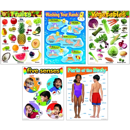 Picture of Healthy Living Learning Charts Combo Pack