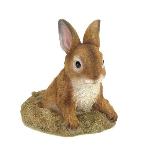Picture of Home Locomotion  Curious Bunny Garden Decor