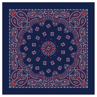Picture of Bandanas With Hang Tag- White