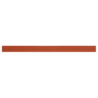 Picture of 1 in. x 300 ft. Tubular Webbing- Rust