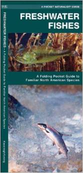 Freshwater Fishes Guide