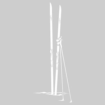 Xc Skis White Sticker
