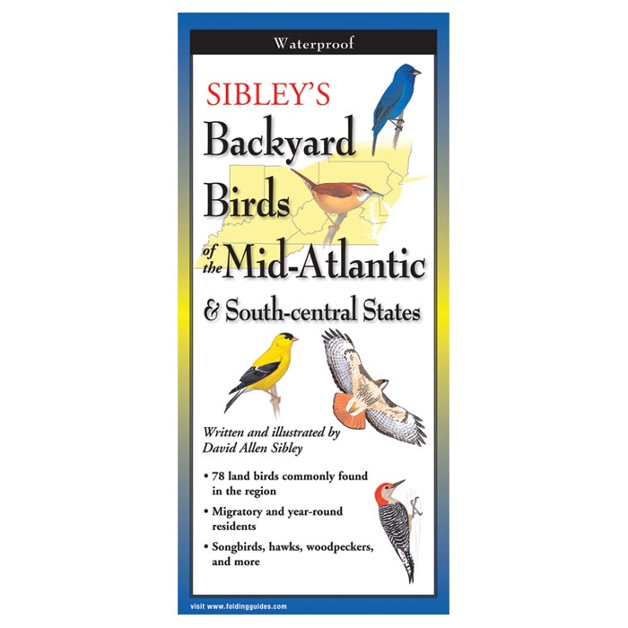 Sibleys Hummingbirds Of North America