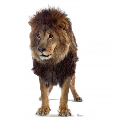 Lion Cardboard Standup