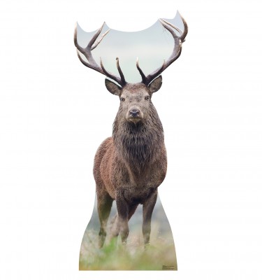 1817 Deer Cardboard Standup