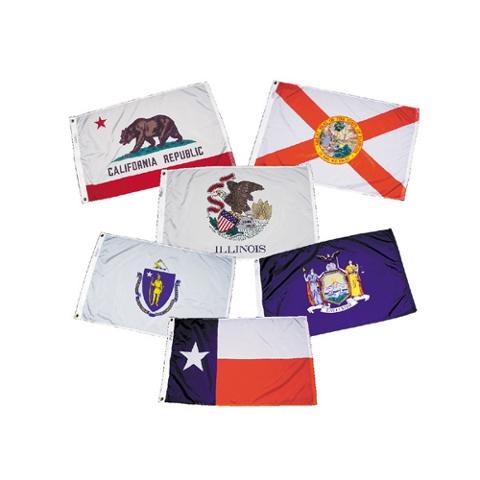 Picture of Annin Flagmakers 146950 3 x 5 ft. Nylon - Glo 50 States Flag Set