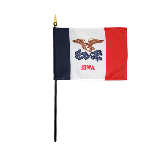 Picture of Annin Flagmakers 150014 4 x 6 in. Eb Iowa Mounted- Pack Of 12