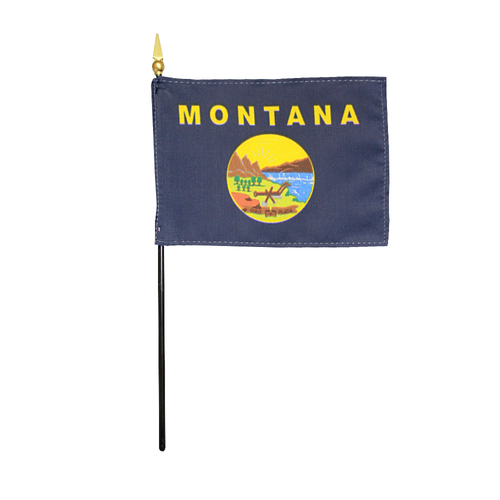 Picture of Annin Flagmakers 150024 4 x 6 in. Eb Missouri Mounted- Pack Of 12