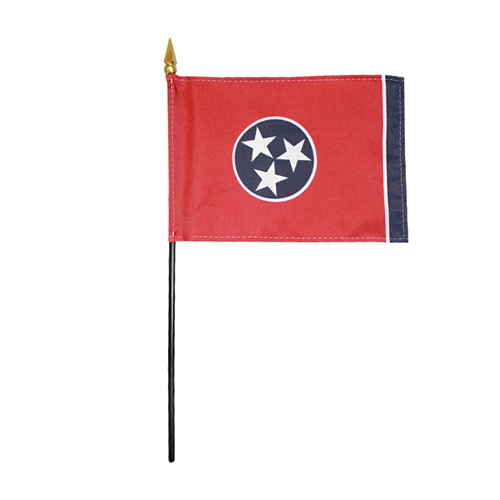 Picture of Annin Flagmakers 150042 4 x 6 in. Eb Tennessee Mounted- Pack Of 12