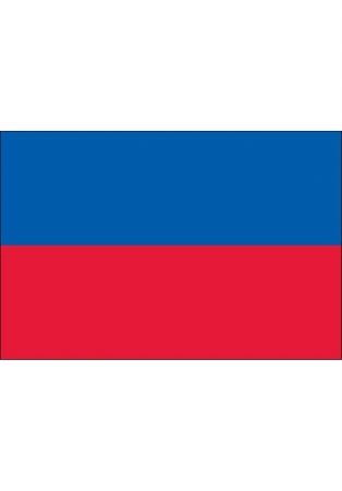 Picture of Annin Flagmakers 193328 5 x 8 ft. Nylon - Glo Haiti Civil Flag