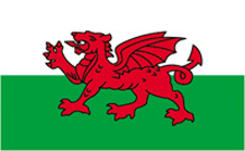 12 x 18 in. Nylon-Glo Wales Flag