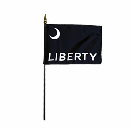 Eb Fort Moultrie Mounted 4 x 6 in. 12 Pack