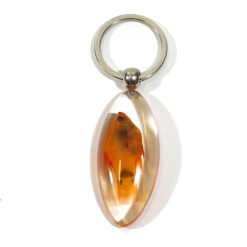 Ed Speldy East Company Real Bug Platy Fish Key Chain - Clear, Oval