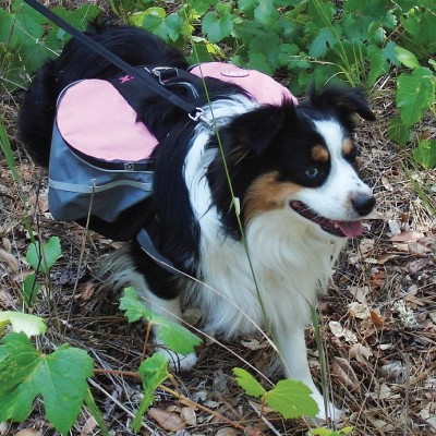 Picture of Doggles BPEXLG-02 Backpack Extreme - Large &#44;Gray & Pink